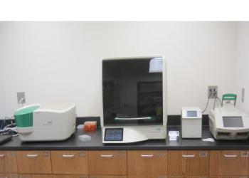 BioRad全自动QX200液滴数字PCR (ddPCR)图片